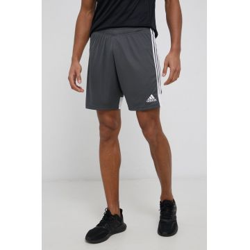 adidas Performance pantaloni scurți de antrenament DP3255 barbati, culoarea gri