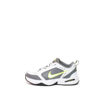 Pantofi sport de piele si piele ecologica - pentru fitness Air Monarch IV