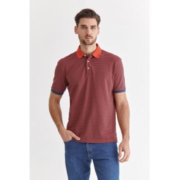 Tricou polo de bumbac cu dungi Jay