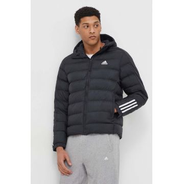 adidas geacă bărbați, culoarea negru, de iarnă GT1674