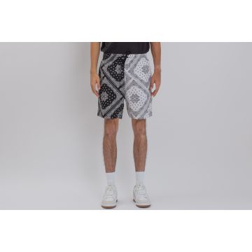 Small Signature Paisley Block Resort Shorts