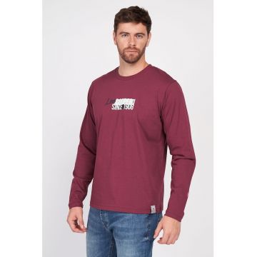 Bluza cu detaliu logo