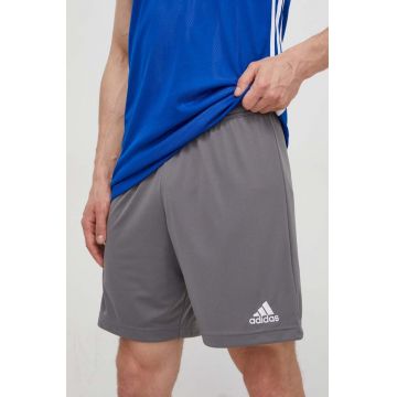 adidas Performance pantaloni scurți de antrenament Entrada 22 bărbați, culoarea gri H57505