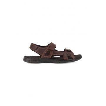 Sandale barbati -  590559 - Piele naturala - Maro