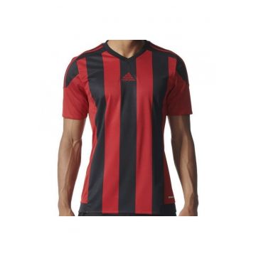 Tricou  Striped 15 pentru barbati 7535