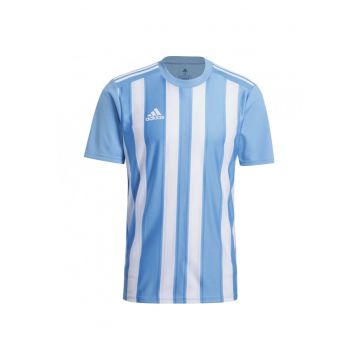 Tricou  Striped 21 pentru barbati - alb/bleu