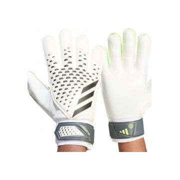 Manusi portar  Predator Training
