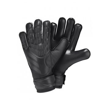 Manusi portar  Predator Training