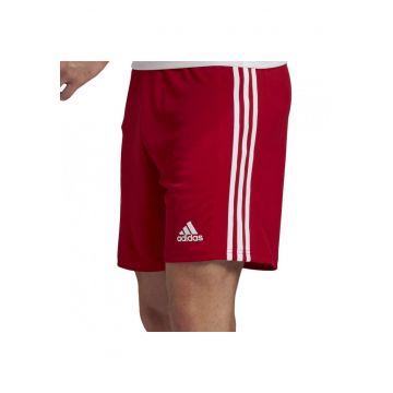 Pantaloni  Squadra 21 pentru barbati - verde