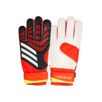 Manusi portar  Predator Training
