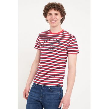 Tricou cu decolteu la baza gatului si model in dungi
