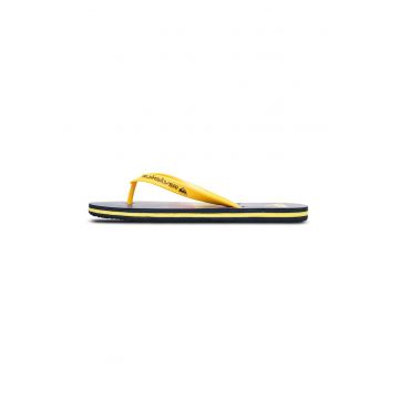 Papuci flip-flop Molokai Stripe 25