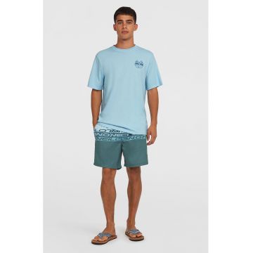 Pantaloni scurti de baie cu doua nuante Cali