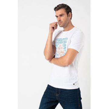 Tricou cu decolteu la baza gatului si imprimeu logo Alex 4