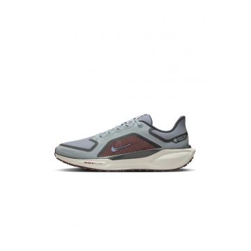 Pantofi sport  Air Zm Pegasus 41 GTX 6136