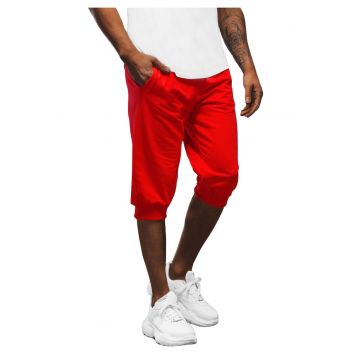 Pantaloni scurți sport bărbați  JS/XW07