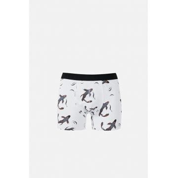 Lenjerie Intima De Barbati Alb Modern Fit Cl1068444