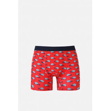 Lenjerie Intima De Barbati Rosu Modern Fit Cl1067086