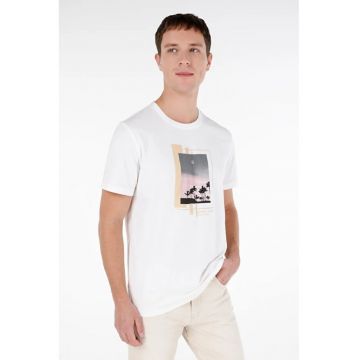 Tricou Cu Maneca Scurta De Barbati Alb Regular Fit CL1067623