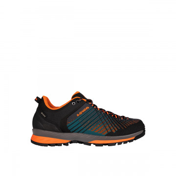 Incaltaminte Barbati Carezza Low Gtx