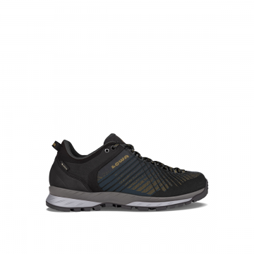 Incaltaminte Barbati Carezza Low Gtx