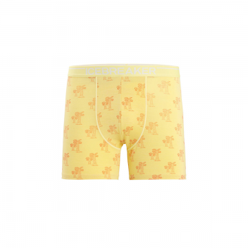 Boxeri Anatomica