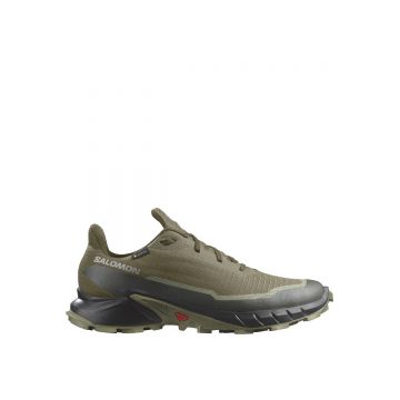 Pantof Alergare Trail Barbati Salomon Alphacross 5 Gtx Olive Night   Black   Deep Lichen Green
