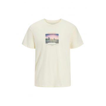 Tricou JACK &JONES Ryu Crew Neck 47032