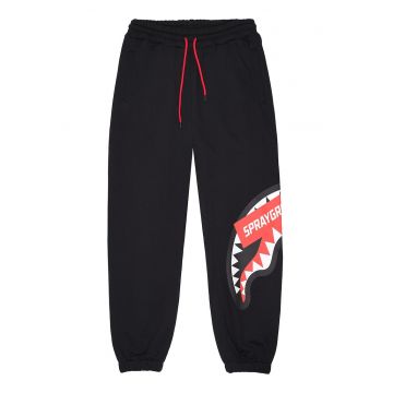 Pantaloni de trening cu snur de ajustare si logo
