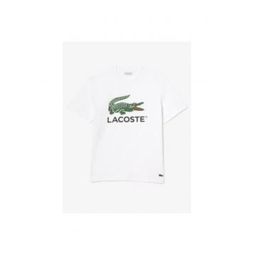 Tricou barbati -  303202835 - Bumbac - XL INTL - Alb