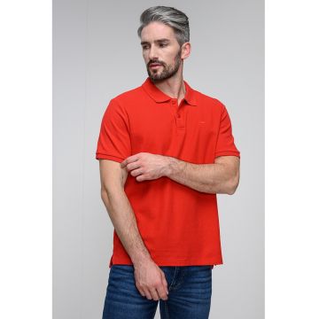 Tricou din bumbac cu guler polo Palco