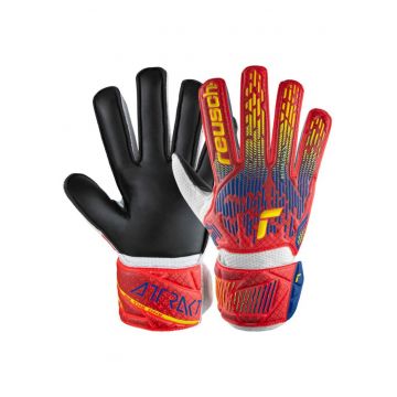 Manusi portari  Attrakt Solid - rosu/galben/albastru