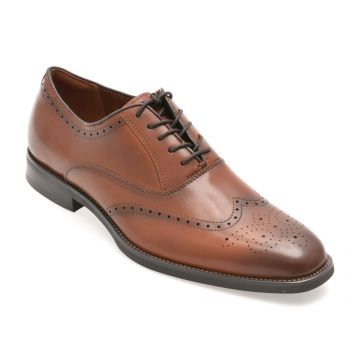 Pantofi eleganti ALDO maro, DONALD 220, din piele naturala Pantofi eleganti ALDO maro, DONALD 220, din piele naturala