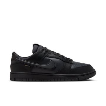 Pantofi sport Nike DUNK LOW GTX