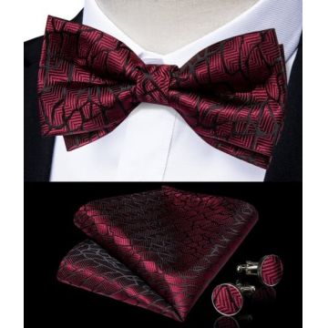 Set papion matase + batista + butoni, model 29