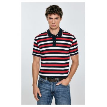 Tricou polo cu model in dungi Seulir 603