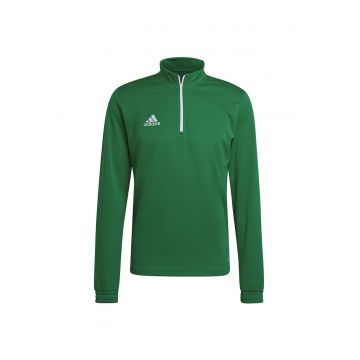 barbati -  Poliester - Verde - 65420 - Verde