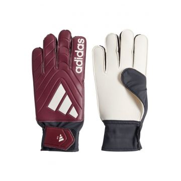 Manusi portar -  multicolor