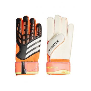 Manusi portar  Predator MTC - latex Soft Grip Pro - multicolor