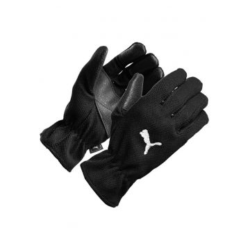 Manusi iarna  Winter Players