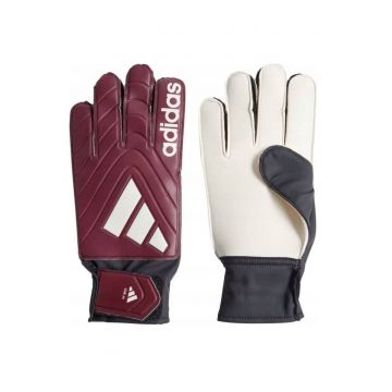 Manusi portar  Copa Club - latex Soft Grip - bordo -