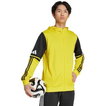 Hanorac barbat -  Squadra 25 - galben - poliester