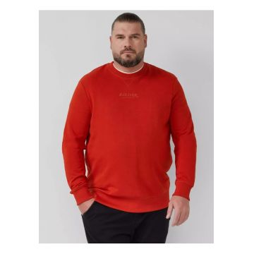 Big Sizes Bluza barbati big sizes cu decolteu la baza gatului - logo - Regular Fit - Caramiziu