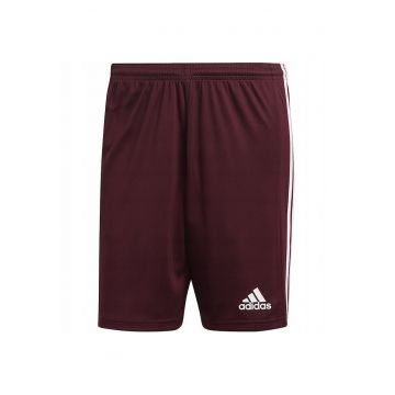 Pantaloni sport barbati - Squadra 21 -  Maro - Maro