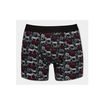 Lenjerie intima barbati  multicolor 2XL