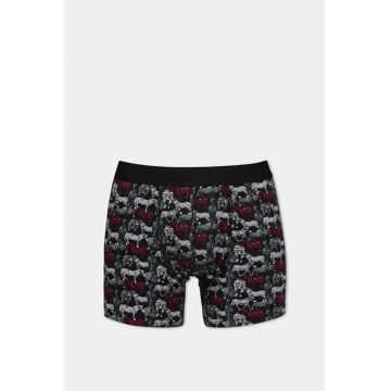 Lenjerie intima barbati  multicolor - modern fit