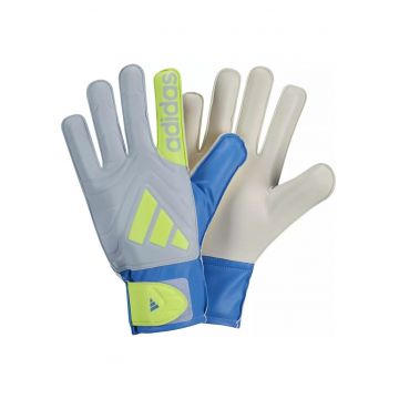 Manusi portar  Copa Club - gri/alb/albastru -