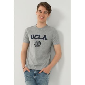 Tricou cu imprimeu logo Gayley - Gri melange/Bleumarin