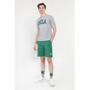 Tricou bărbați -  regular fit - imprimeu cu logo - gri -