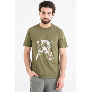 Tricou cu decolteu la baza gatului si design grafic Dubrox - Alb/Kaki inchis